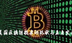 美国区块链技术的现状与