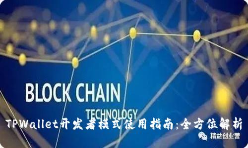 TPWallet开发者模式使用指南：全方位解析