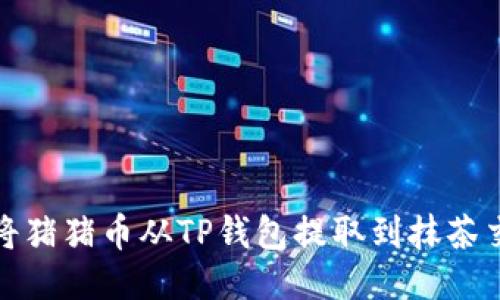 如何将猪猪币从TP钱包提取到抹茶交易所