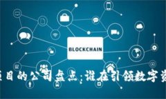 区块链治理项目的公司盘