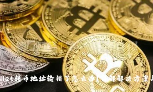 TPWallet转币地址输错了怎么办？详解解决方案与建议