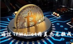 big如何通过TPWallet将美元兑