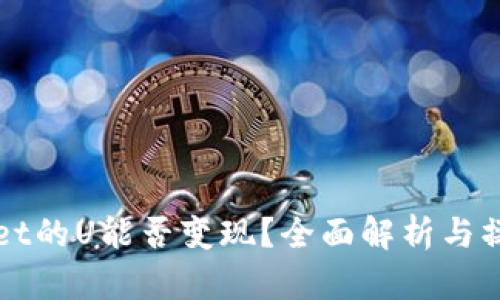 TPWallet的U能否变现？全面解析与操作指导
