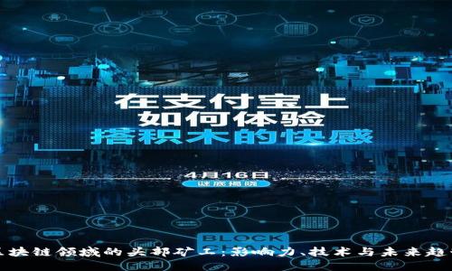 区块链领域的头部矿工：影响力、技术与未来趋势