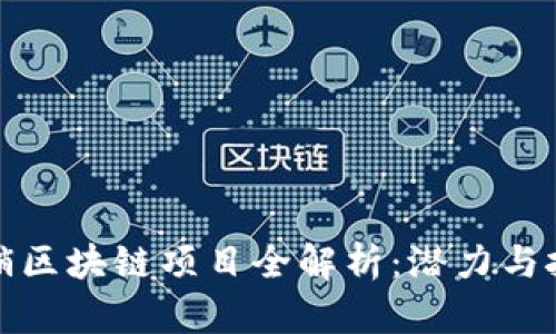 石城营销区块链项目全解析：潜力与挑战并存