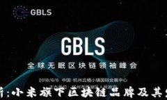 深入解析：小米旗下区块