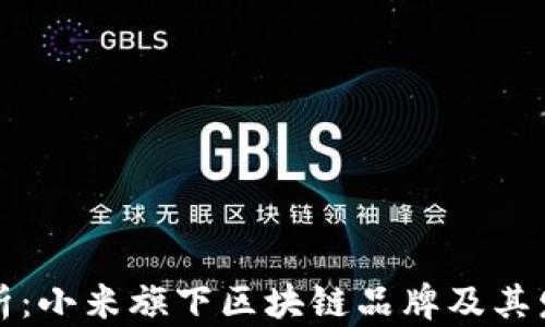 
深入解析：小米旗下区块链品牌及其发展前景