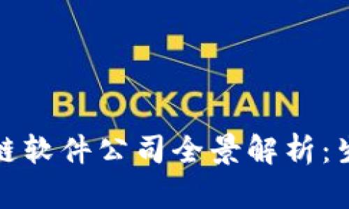 河北区块链软件公司全景解析：生态与发展