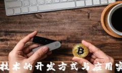 区块链技术的开发方式与