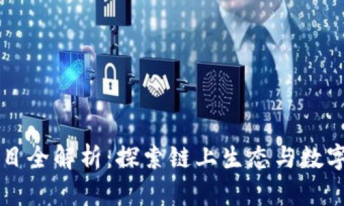 区块链猫项目全解析：探索链上生态与数字资产的未来