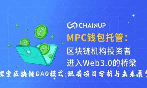 探索区块链DAO模式：现有项目分析与未来展望