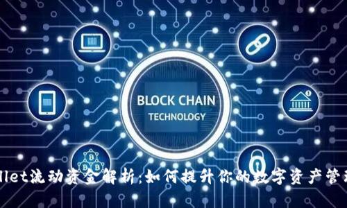TPWallet流动资金解析：如何提升你的数字资产管理能力