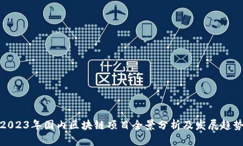 2023年国内区块链项目全景分析及发展趋势