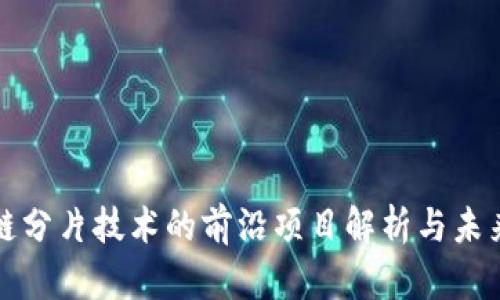区块链分片技术的前沿项目解析与未来趋势