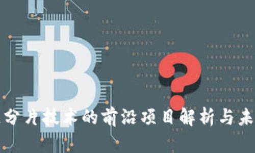 区块链分片技术的前沿项目解析与未来趋势
