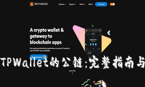 如何进入TPWallet的公链：完整指南与实用技巧