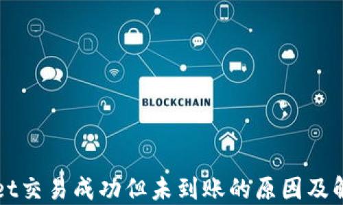 
TPWallet交易成功但未到账的原因及解决方案