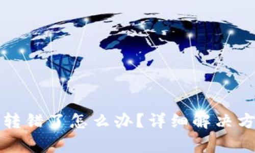 tpwallet地址转错了怎么办？详细解决方案与注意事项