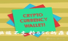 TPWallet电脑端不支持BSC的原