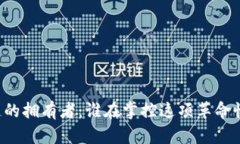 区块链的拥有者：谁在掌