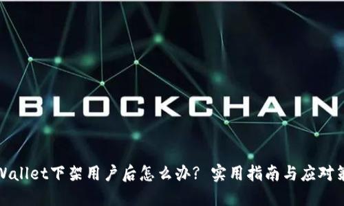 TPWallet下架用户后怎么办? 实用指南与应对策略