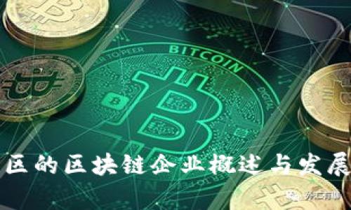 柳市区的区块链企业概述与发展前景
