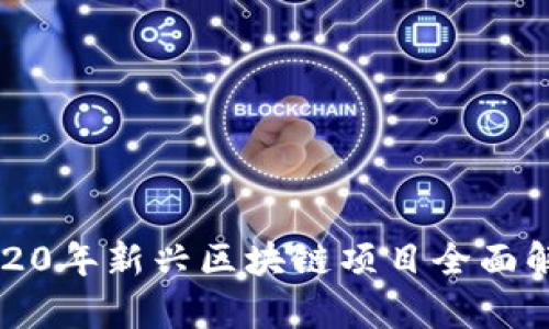 2020年新兴区块链项目全面解析