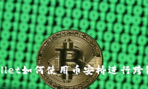TPWallet如何使用币安桥进行跨链交易