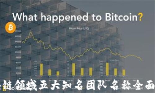 
区块链领域五大知名团队名称全面解析