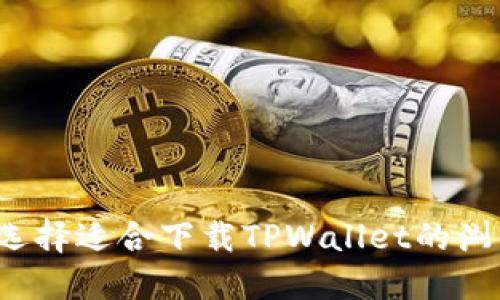 如何选择适合下载TPWallet的浏览器？