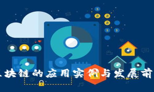 产业区块链的应用实例与发展前景分析