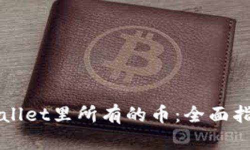 如何显示TPWallet里所有的币：全面指南与实用技巧