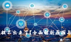 TPWallet提不出来了？全面解