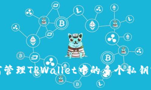 如何管理TPWallet中的多个私钥密码