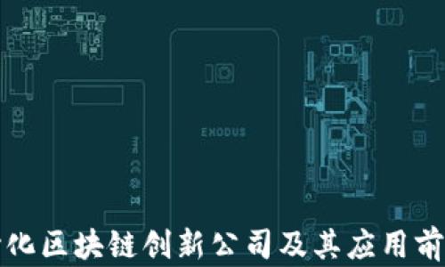 去中心化区块链创新公司及其应用前景探索