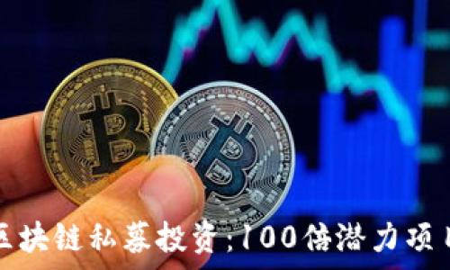  
揭秘区块链私募投资：100倍潜力项目分析