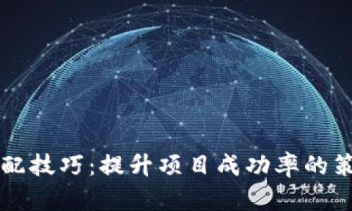 区块链搭配技巧：提升项目成功率的策略与方法