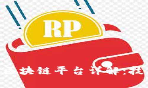 网易与腾讯的区块链平台详解：技术、应用与未来