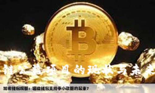 区块链公益项目的现状与未来展望