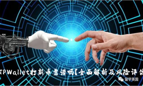 TPWallet打新币靠谱吗？全面解析及风险评估