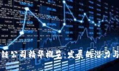 西安区块链公司精华概览