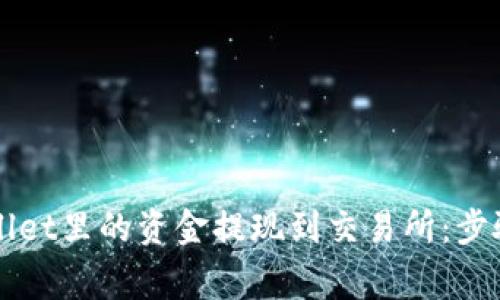 如何将TPWallet里的资金提现到交易所：步骤与注意事项