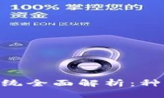 区块链平台系统全面解析