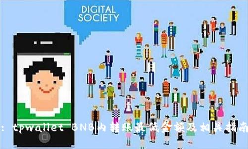 : tpwallet BNB内转账最低金额及相关指南