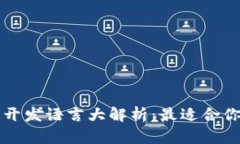 区块链开发语言大解析：