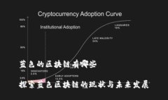 蓝色的区块链有哪些探索