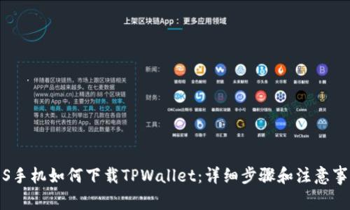 iOS手机如何下载TPWallet：详细步骤和注意事项