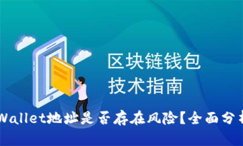 公布TPWallet地址是否存在风险？全面分析与对策