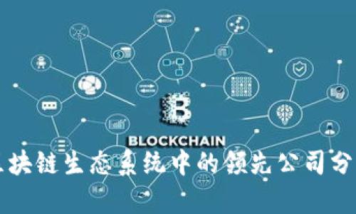 区块链生态系统中的领先公司分析