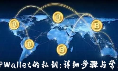 
如何查看TPWallet的私钥：详细步骤与常见问题解答
